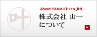 株式会社山一について