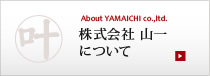 株式会社山一について